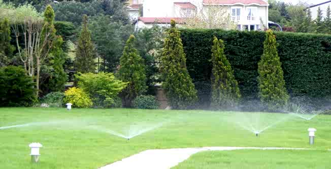 Periyodik bahçe Bakımı